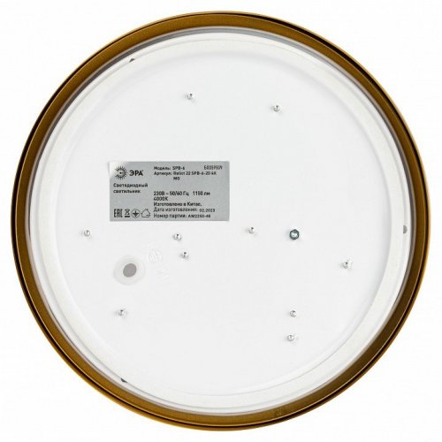 Потолочный светильник ЭРА Relict 22 SPB-6-20 4К MG