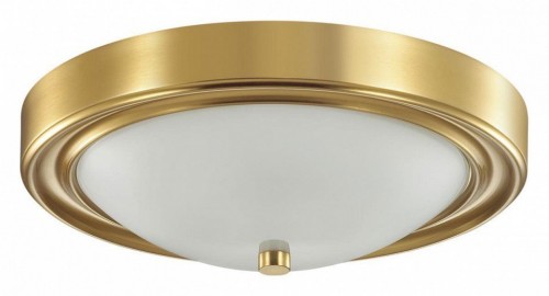 Настенно-потолочный светильник Lumion Nina 5259/2C