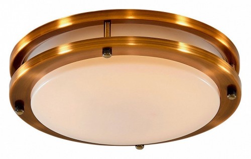 Настенно-потолочный светильник Citilux Бостон CL709203N