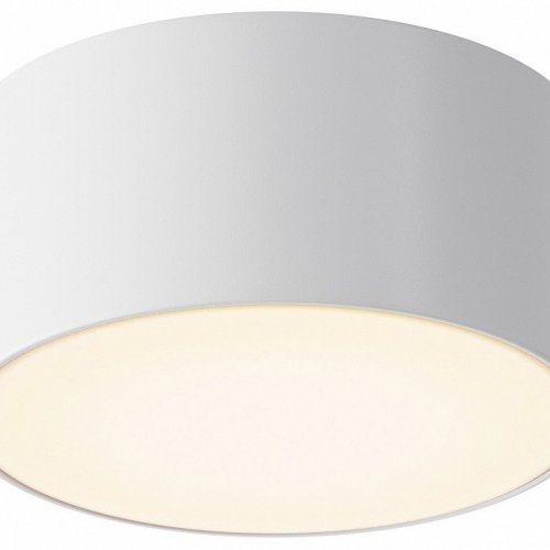 Потолочный светильник уличный Maytoni Zon IP O430CL-L15W3K