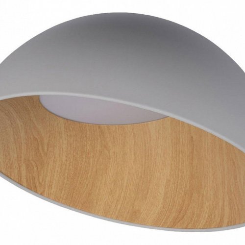 Потолочный светильник Loft IT Egg 10197/500 Grey
