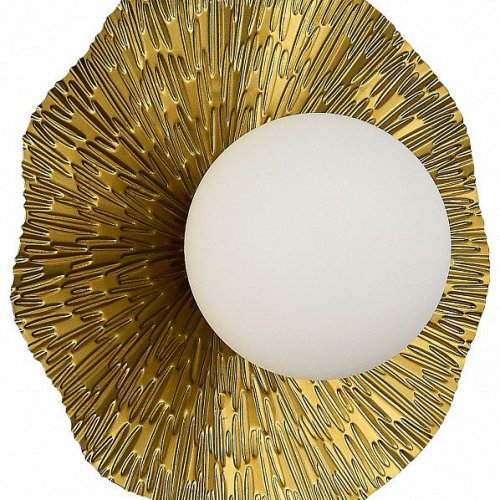 Потолочный светильник Evoluce SLE1196-301-01 Потолочный светильник Evoluce SLE1196-301-01