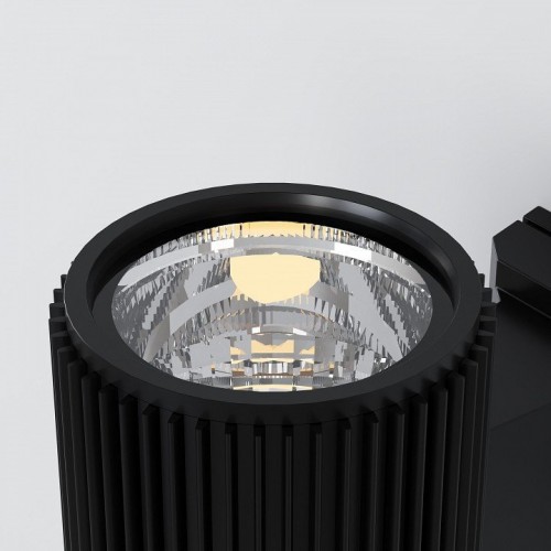 Настенный светильник Maytoni Outdoor O419WL-01B