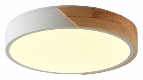 Потолочный светильник Zortes Alberro ZRS.01239.90