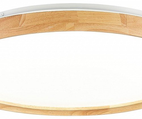 Потолочный светильник Evoluce Delia SLE201382-01