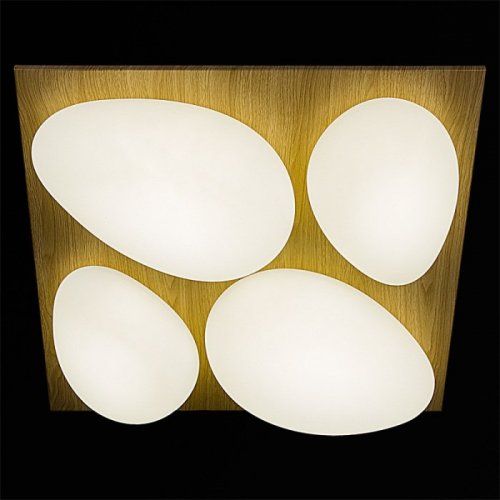 Потолочный светильник Reluce 10010-0.3-80W AEROLITE