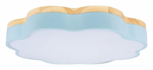 Потолочный светильник Loft IT Axel 10225/36 Blue