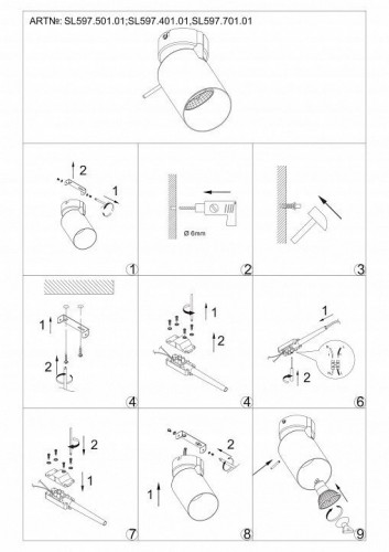 Настенно-потолочный светильник ST Luce Fanale SL597.501.01
