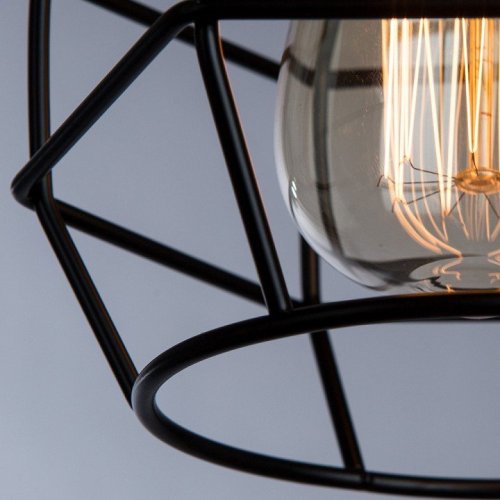 Потолочный светильник Arte Lamp A1109PL-1BK Потолочный светильник Arte Lamp A1109PL-1BK
