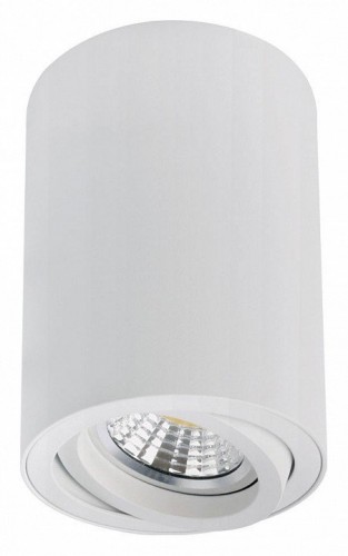Точечный светильник Arte Lamp Sentry A1566PL-1WH