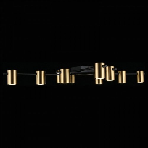 Потолочная люстра Aployt Elwisia APL.633.07.10