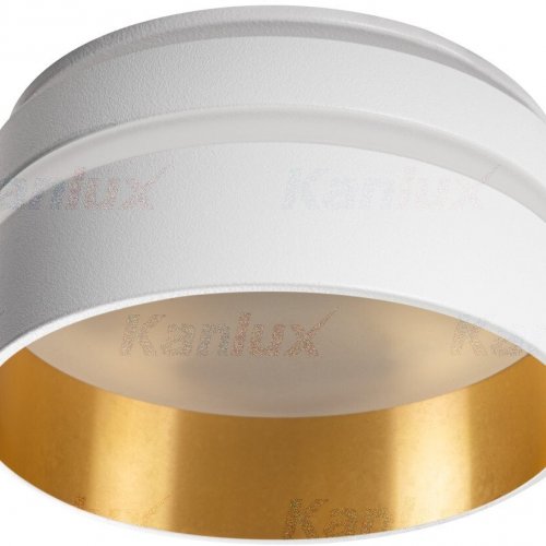 Точечный светильник Kanlux GOVIK-ST DSO-W/G 29233 Точечный светильник Kanlux GOVIK-ST DSO-W/G 29233