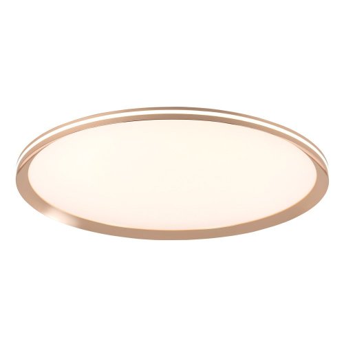 Потолочный светильник LED4U L3020-600 GD Потолочный светильник LED4U L3020-600 GD