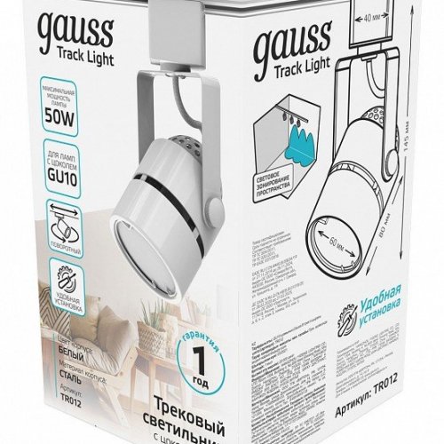 Светильник на штанге Gauss TR TR012