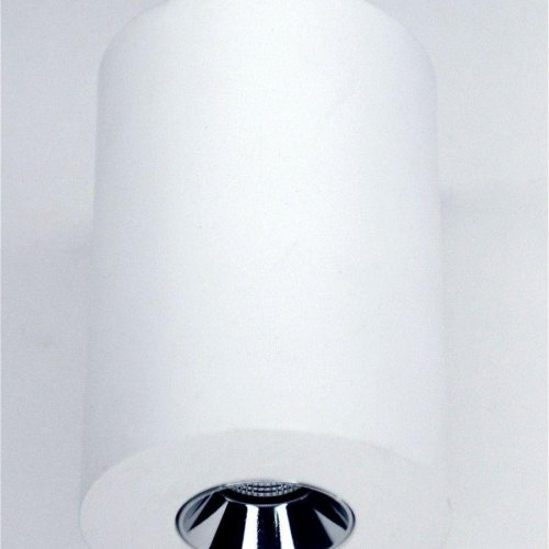 Потолочный светодиодный светильник Elvan NLS-210067-4.2W-WW-WhCh