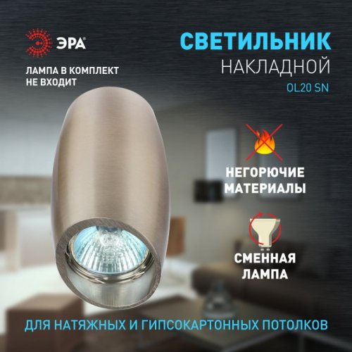 Точечный светильник OL20 SN
