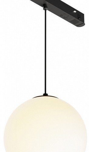 Трековый светильник Luna TR039-2-5W3K