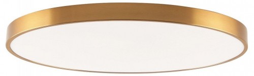 Потолочный светильник Zortes Tortty ZRS.02566.120