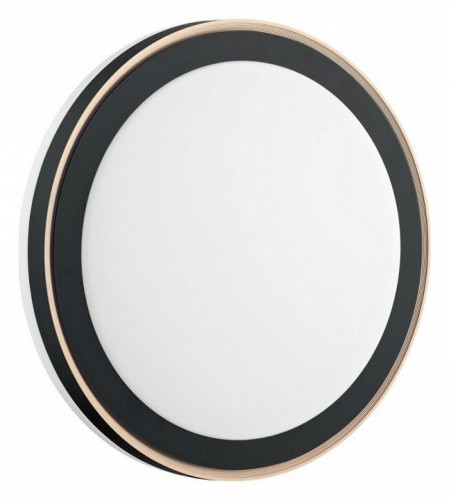 Настенно-потолочный светодиодный светильник Sonex Akuna 7620/DL