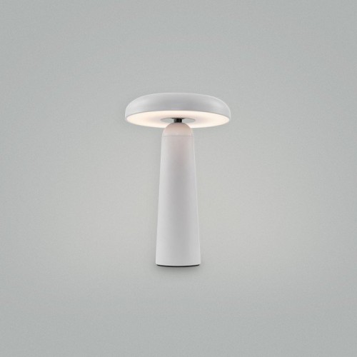 Интерьерная настольная лампа Freya Mushroom FR6109TL-L4W