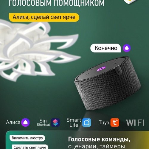 Потолочная люстра Natali Kovaltseva Olimp Ii LED SMART 84024