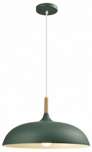 Подвесной светильник Moderli Hygo V11453-1P
