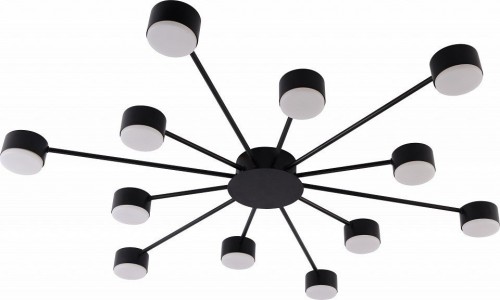 Потолочная люстра Leona 3184-312