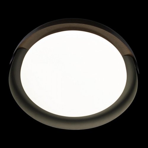 Потолочный светильник Loft IT Coin 10198 Black