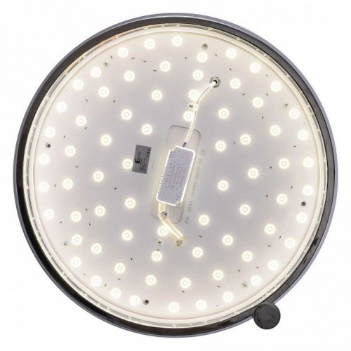 Потолочный светильник Zortes Gimpel ZRS.1209.15