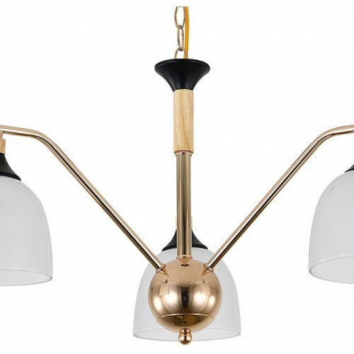 Подвесная люстра Escada Actinidia 2123/3P