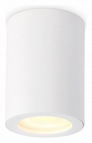 Накладной светильник Ambrella light Techno Spot Techno TN22797