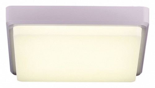 Потолочный светодиодный светильник Evoluce Taddio SLE200212-01 Потолочный светодиодный светильник Evoluce Taddio SLE200212-01