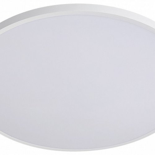 Накладной светильник Lightstar Arco Eco 225750 Накладной светильник Lightstar Arco Eco 225750