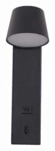 Настенный светильник Zortes Tommy ZRS.23005.6