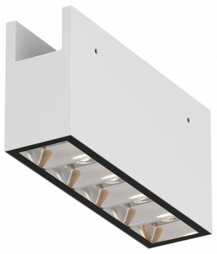 Накладной светильник Maytoni Outdoor Points O-TR01-2-S-10WW3K