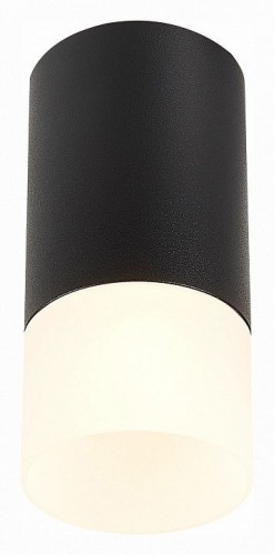 Потолочный светильник ST Luce ST100.412.01 Потолочный светильник ST Luce ST100.412.01