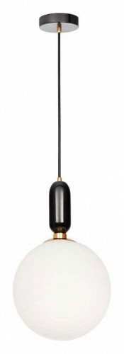 Подвесной светильник Loft IT Parachilna 9973-C