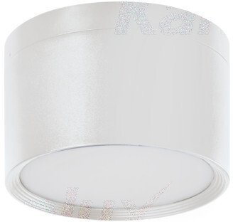 Накладной точечный светодиодный светильник Kanlux TIBERI PRO NT20W-940W 35676