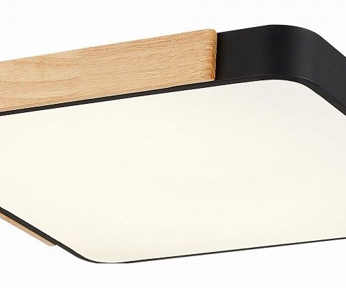 Потолочный светильник Evoluce Festa SLE201242-01