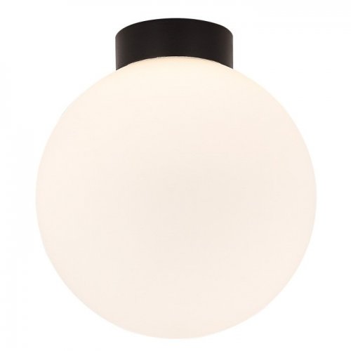 Настенно-потолочный светильник Munich DL18031G9Black 200