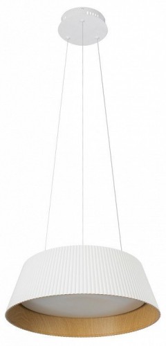 Подвесной светильник LOFT IT Evans 10224P White