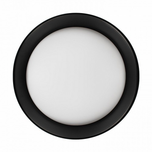 Потолочный светильник Coin 10202 BB