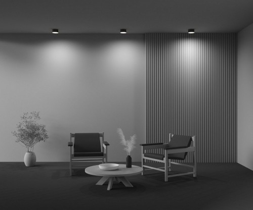 Потолочный светильник Maytoni Zon C032CL-12W2.7K-RD-B