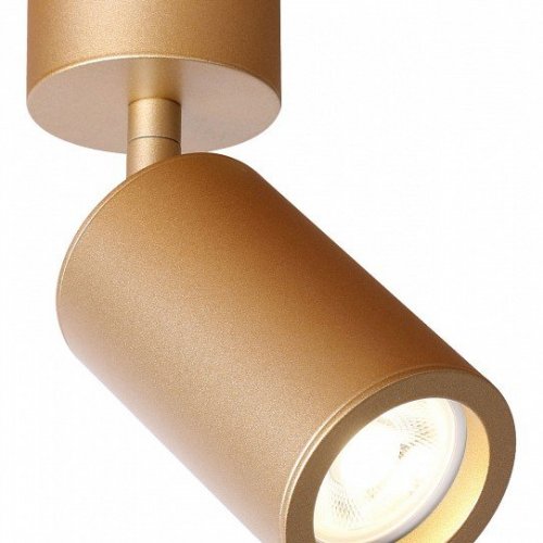 Спот Favourite Angularis 2802-1U Спот Favourite Angularis 2802-1U