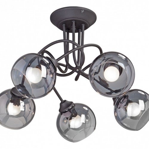 Потолочная люстра V4309-1/5PL