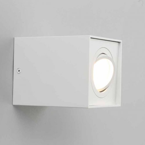 Потолочный светильник Omnilux Feletto OML-101109-01 Потолочный светильник Omnilux Feletto OML-101109-01