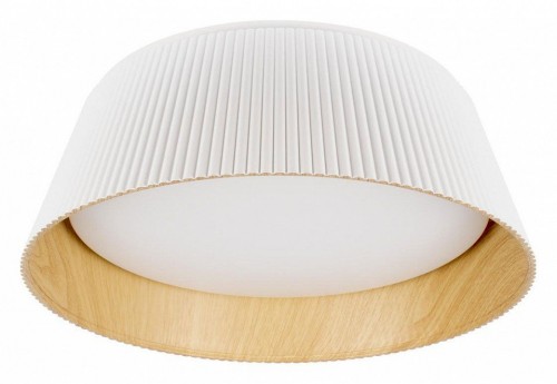 Потолочный светильник Loft IT Evans 10224 White