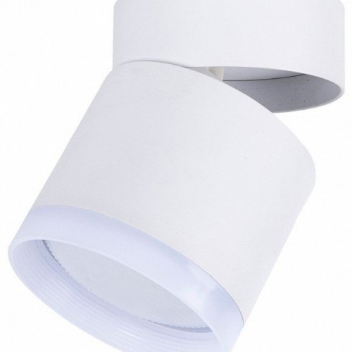 Накладной светильник Favourite Dixi 4709-1C