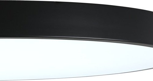 Потолочный светильник Zortes Tortty ZRS.02563.120