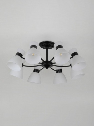 Потолочная люстра Aemilia 9185-308